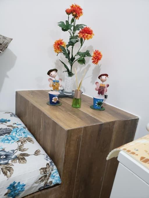 Casa Vista Para Montanha Pet Friendly 卡拉瓜塔图巴 外观 照片